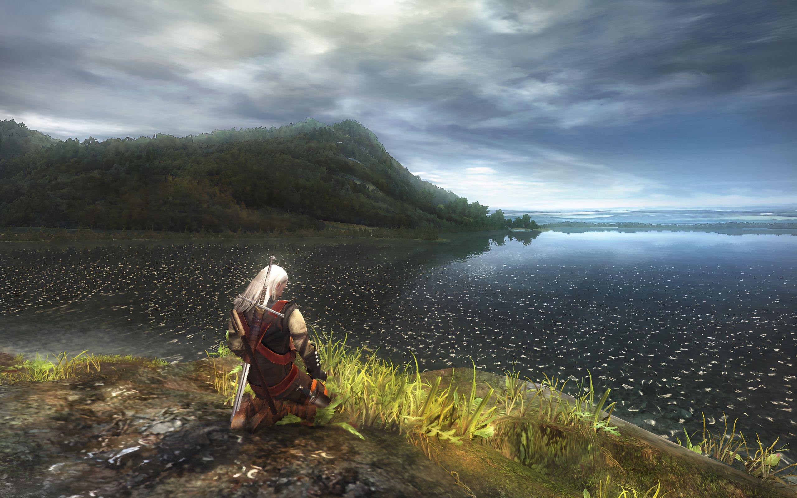 Screenshot from the game The Witcher.