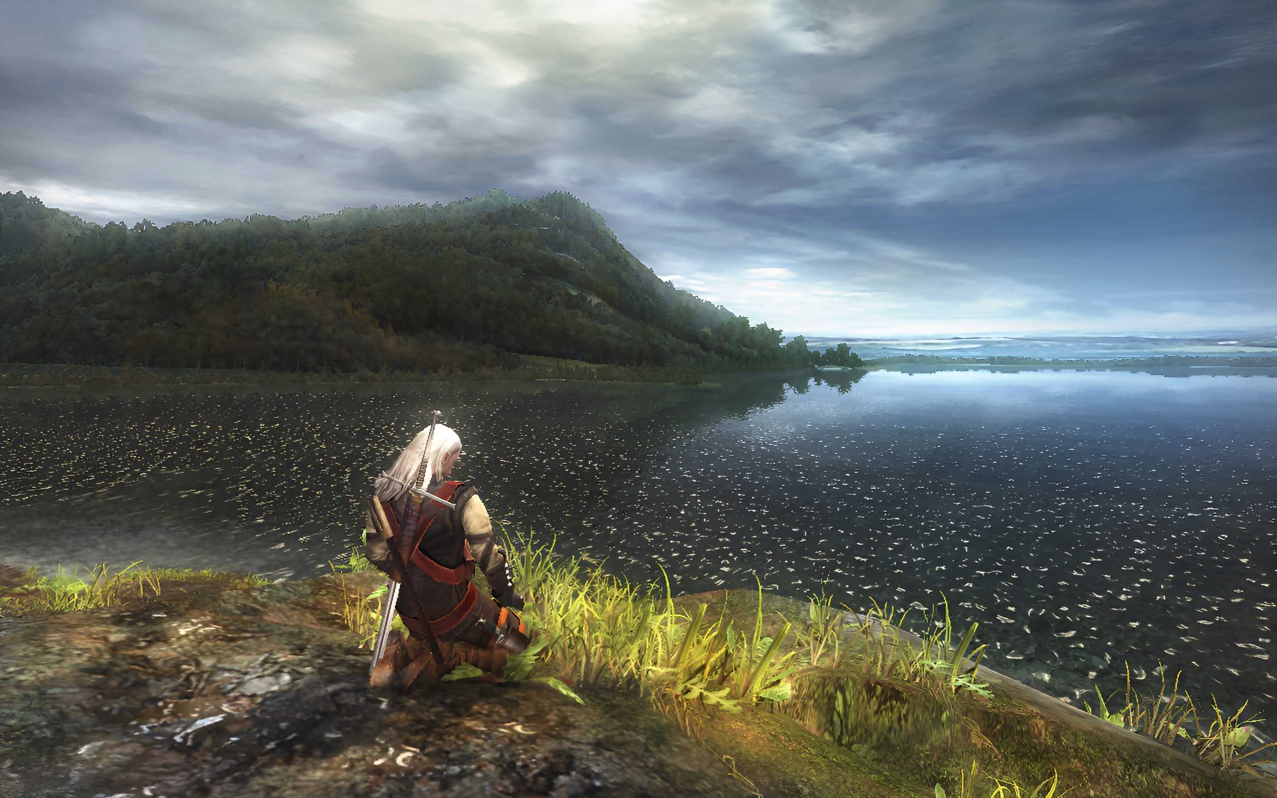 Screenshot from the game The Witcher.