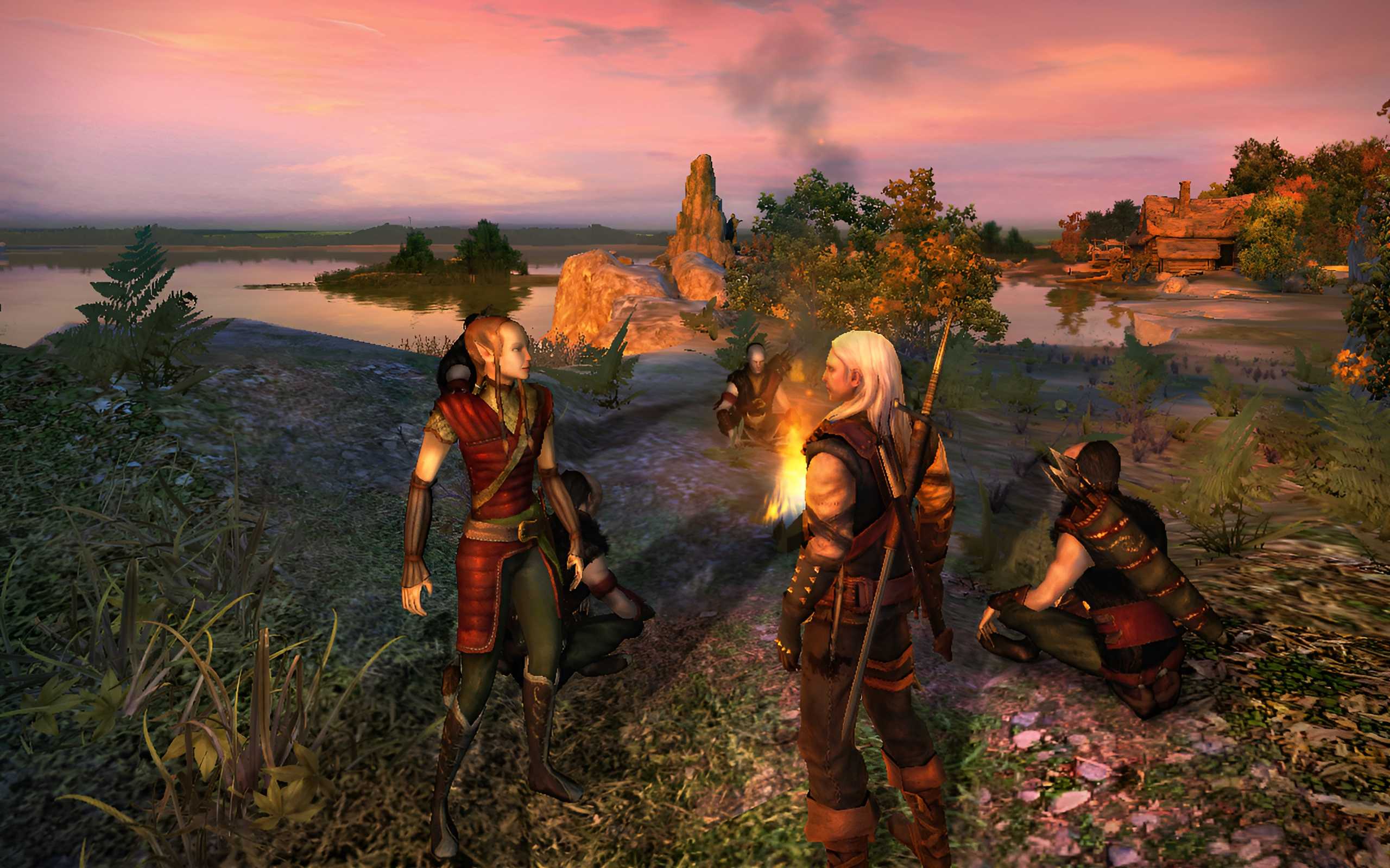 Screenshot from the game The Witcher: Enhanced Edition - Director's Cut.