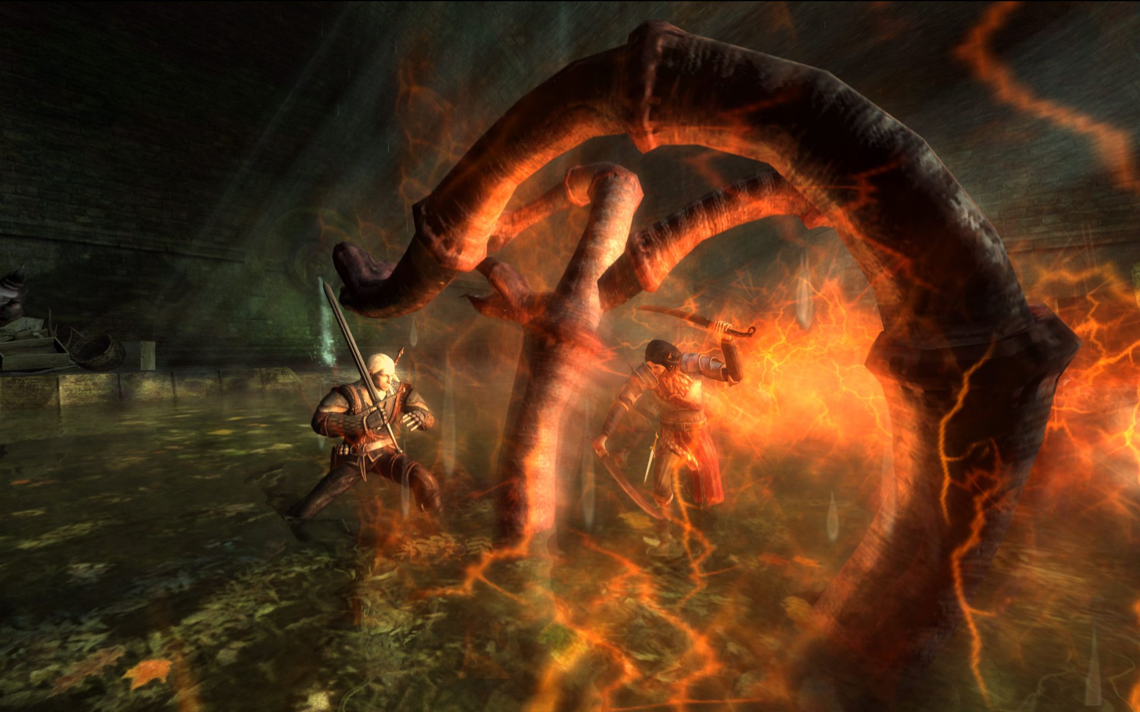Screenshot from the game The Witcher: Enhanced Edition - Director's Cut.