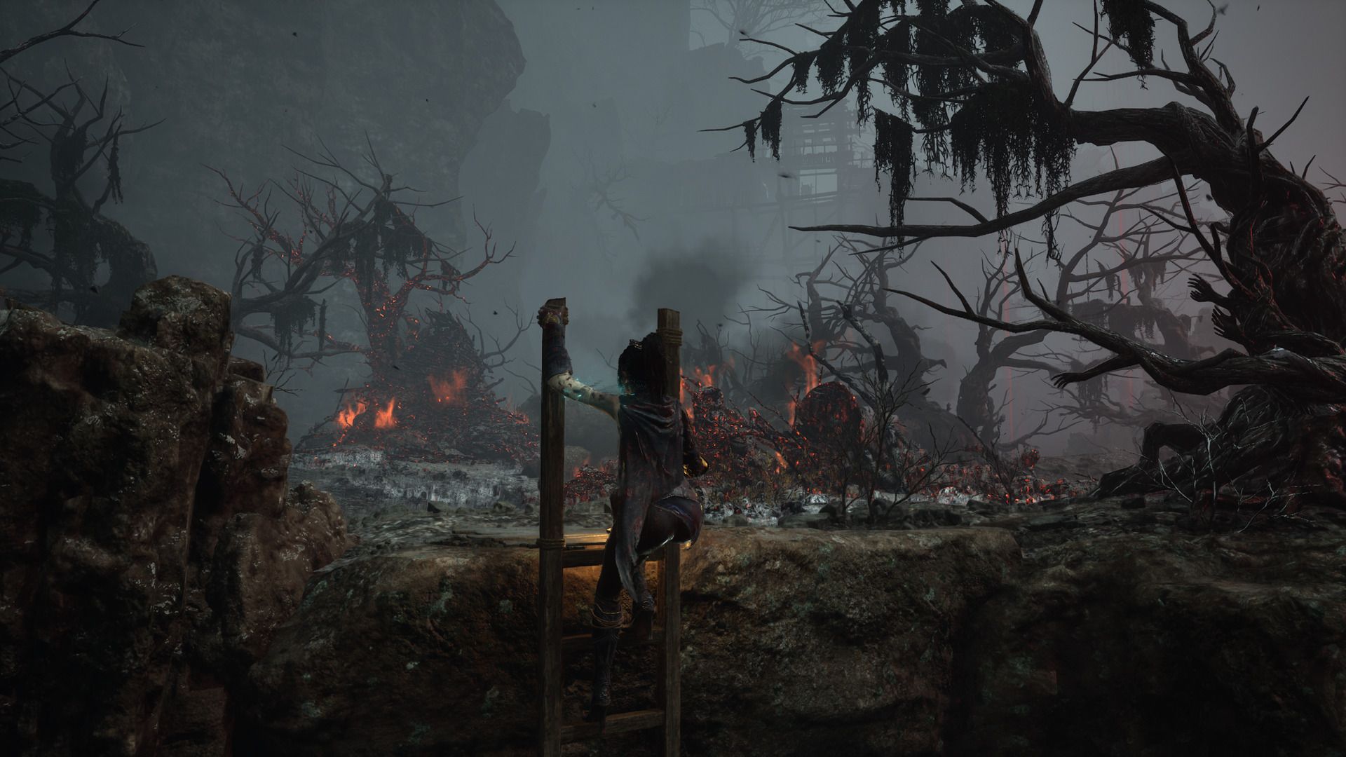 wuchang fallen feathers climbing a ladder in the burning forest