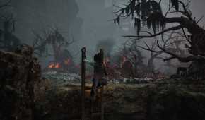 wuchang fallen feathers climbing a ladder in the burning forest