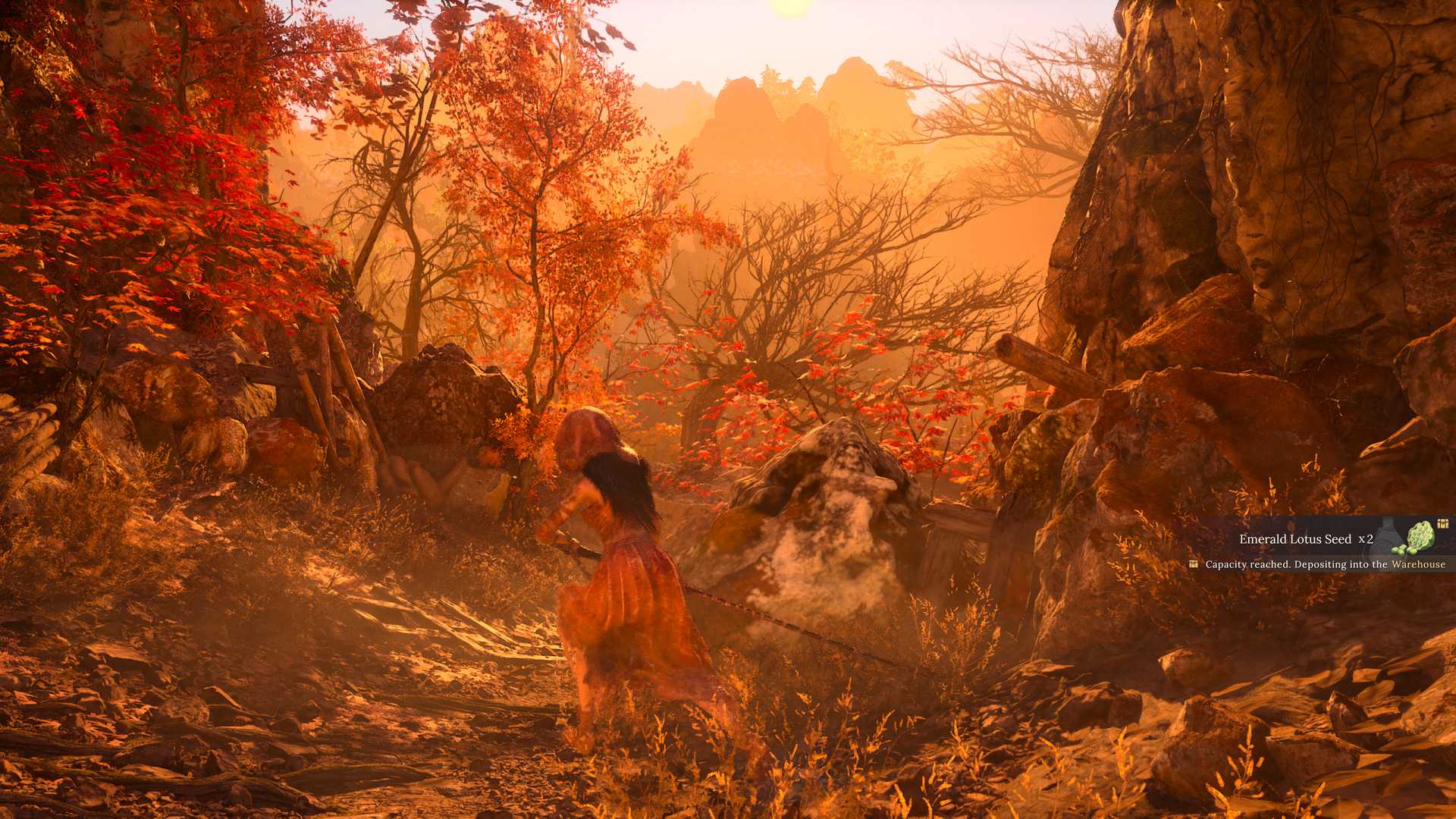 wuchang fallen feathers golden forest