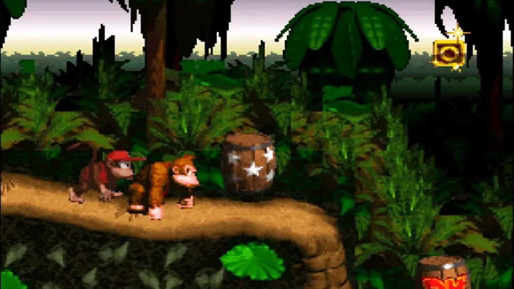 A screenshot of gameplay from the first stage of Donkey Kong Country