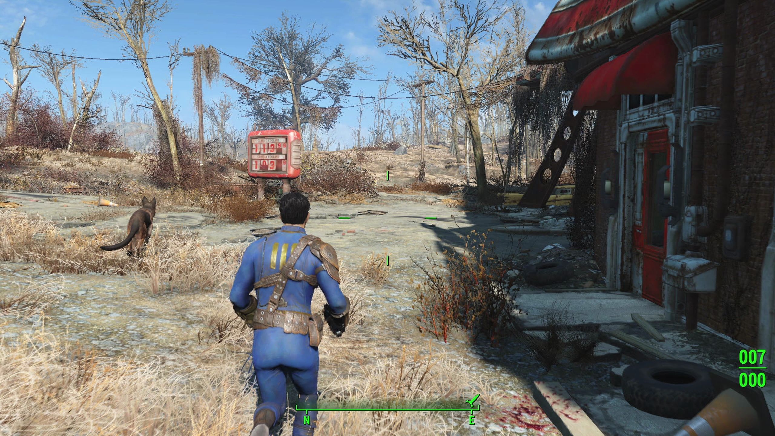 Running alongside Dogmeat in Fallout 4.