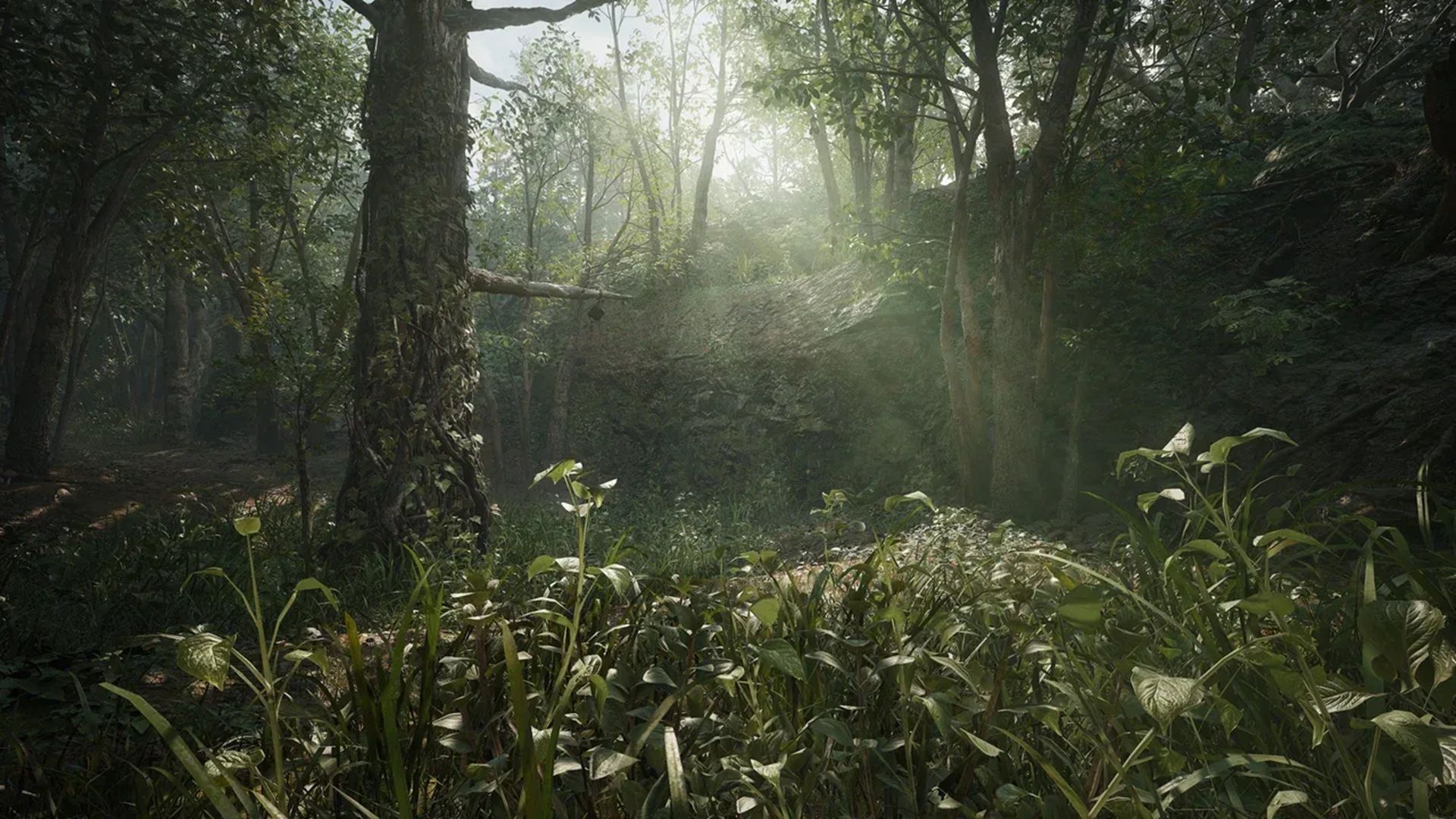 A screenshot of the jungle from Metal Gear Solid Delta: Snake Eater