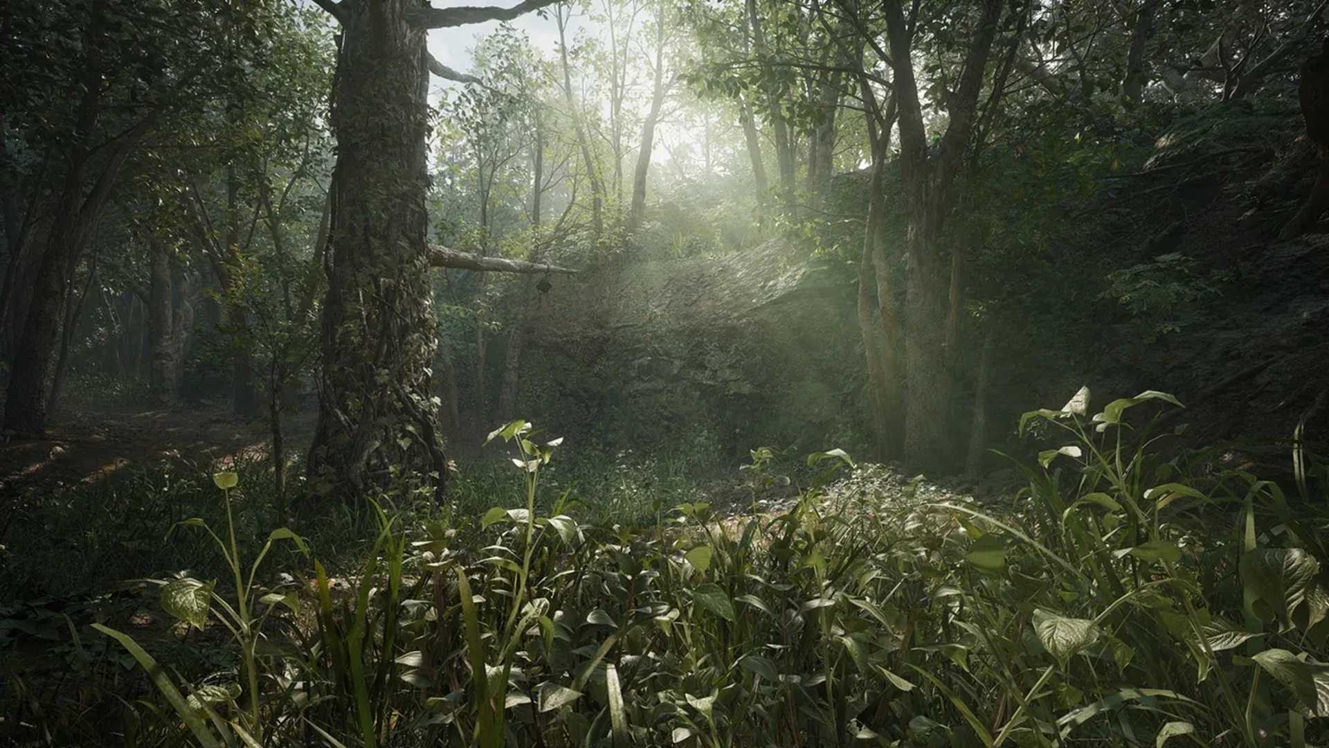 A screenshot of the jungle from Metal Gear Solid Delta: Snake Eater