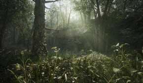 A screenshot of the jungle from Metal Gear Solid Delta: Snake Eater