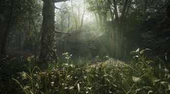 A screenshot of the jungle from Metal Gear Solid Delta: Snake Eater