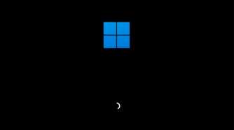 Screenshot showing Windows 11 boot screen