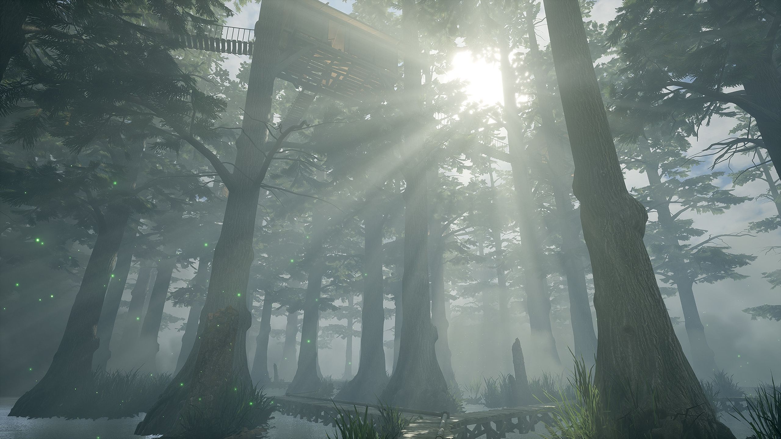 Godrays peering through a forest in the 2021 remake of Myst.
