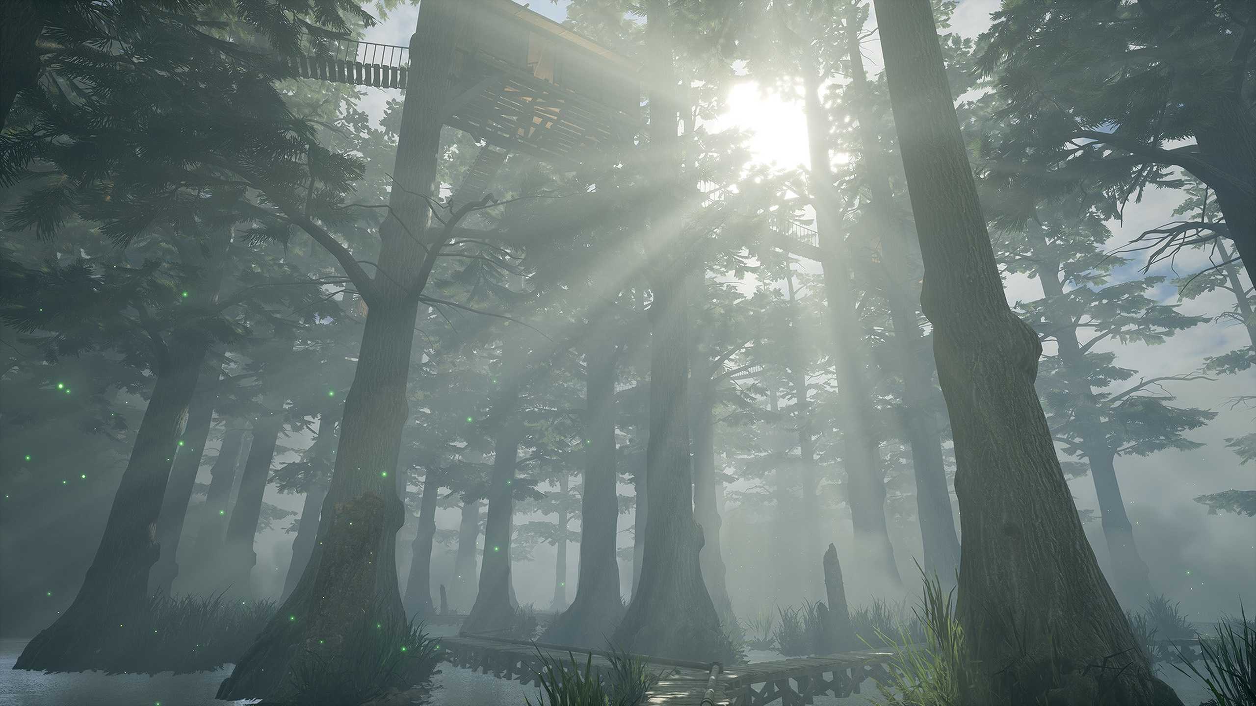 Godrays peering through a forest in the 2021 remake of Myst.