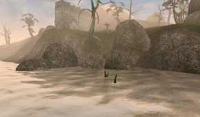 A beach in The Elder Scrolls III: Morrowind.