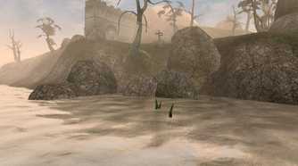 A beach in The Elder Scrolls III: Morrowind.