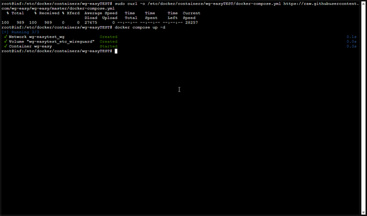 wg-easy-family-setup (1)