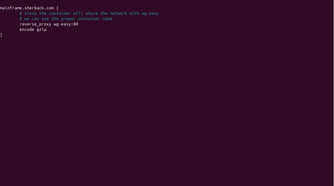 wg-easy-VPN-setup-Ubuntu (5)-1