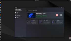 Windows 11 Pro container on WinBoat