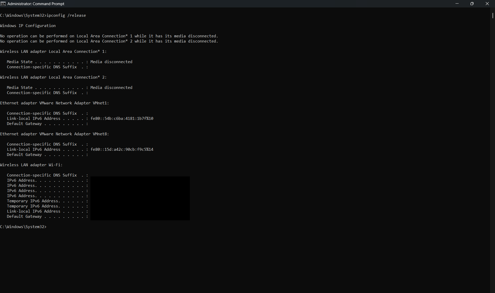 A screenshot of the ipconfig command running inside a Windows 11 command prompt window.
