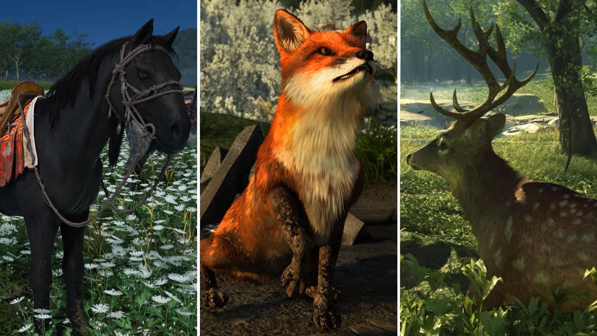 A combination of animals that appear in Ghost of Yotei