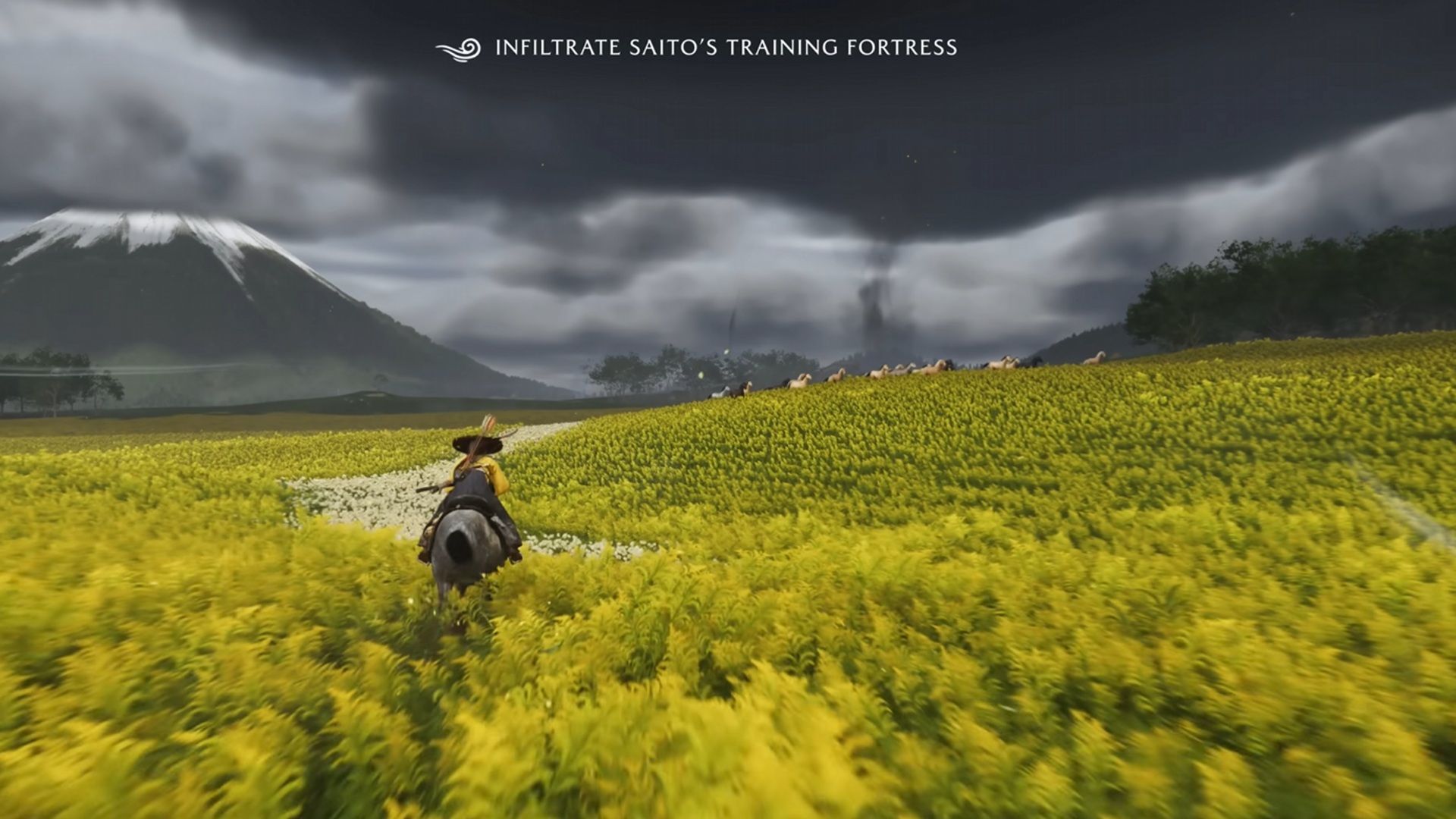 A screenshot of Atsu riding in a yellow field with a herd of horses in the distance in Ghost of Yotei