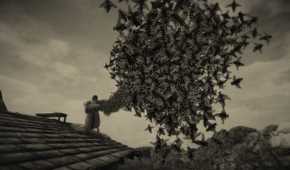 A woman releasing moths from a bucket in Mundaun.