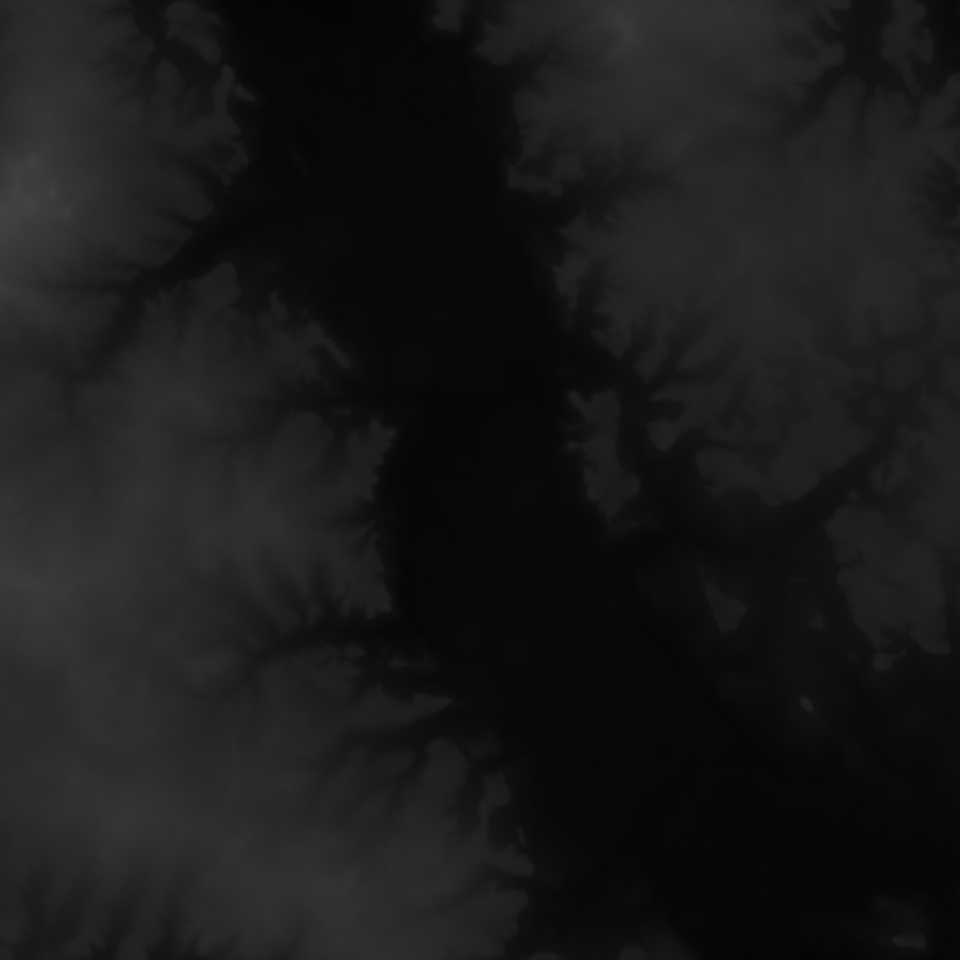 2110137393