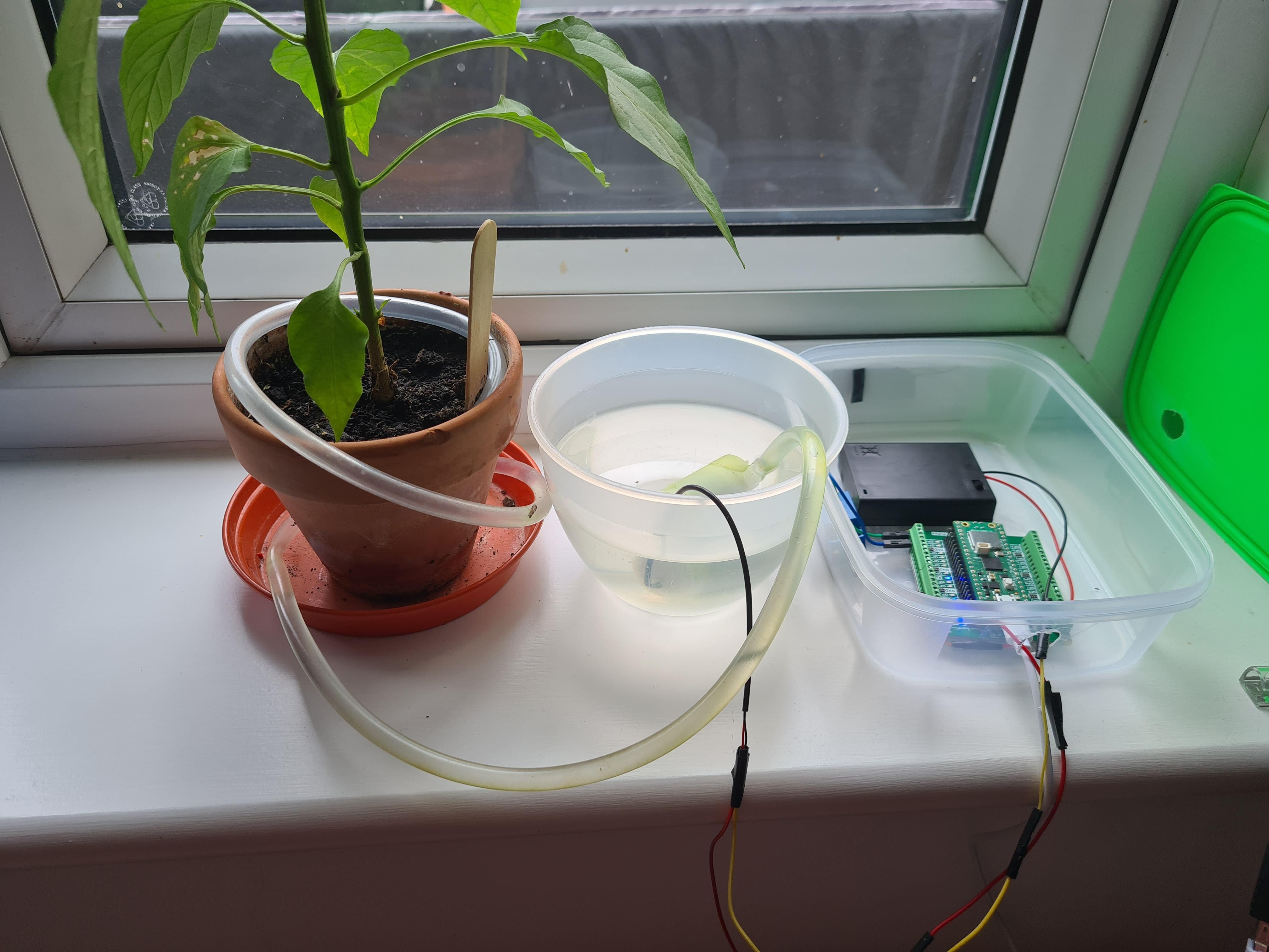 4 ridiculous but fun things I've seen automated with a Raspberry Pi Pico