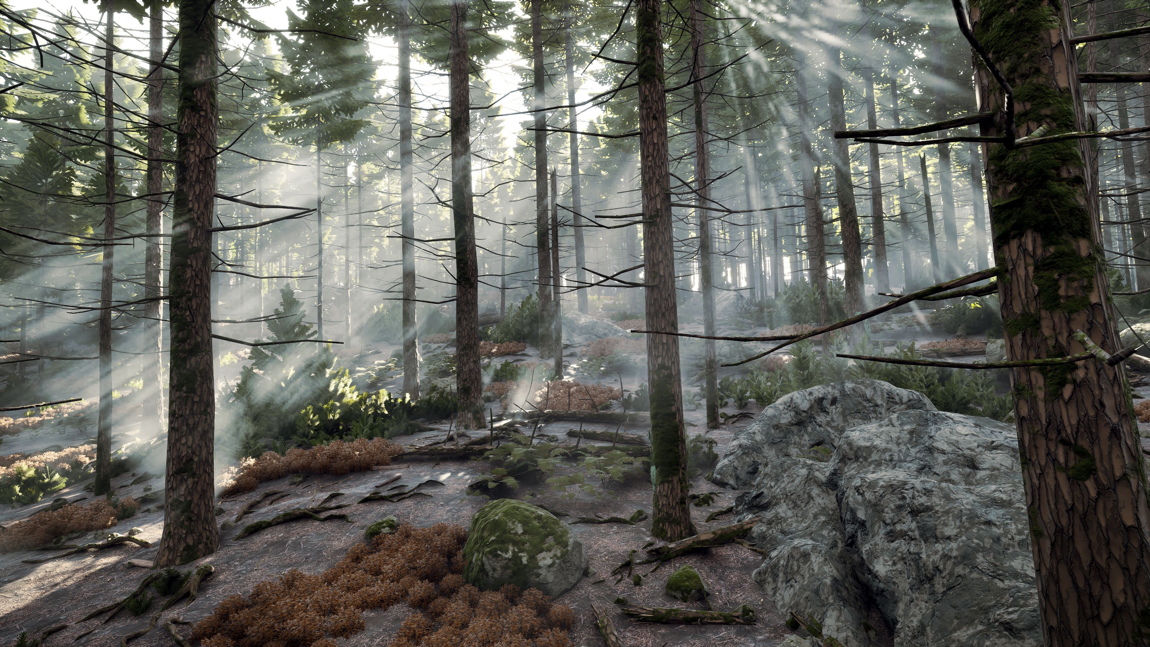 A forest in Prologue: Go Wayback!