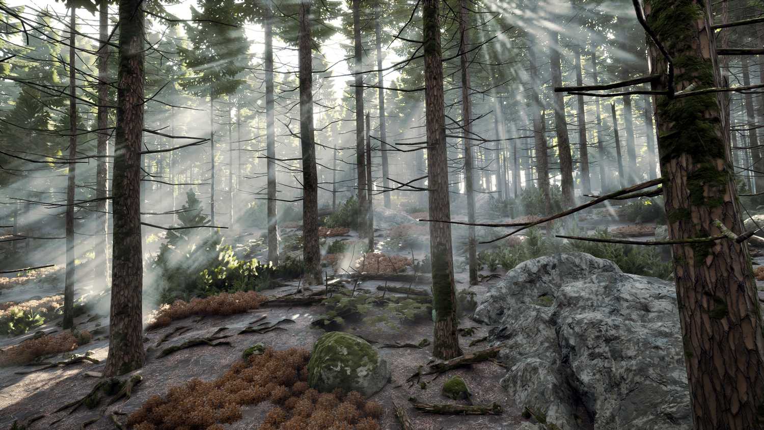 A forest in Prologue: Go Wayback!