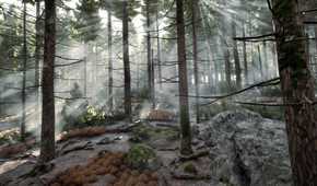 A forest in Prologue: Go Wayback!
