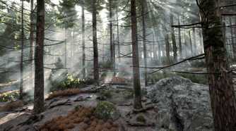 A forest in Prologue: Go Wayback!