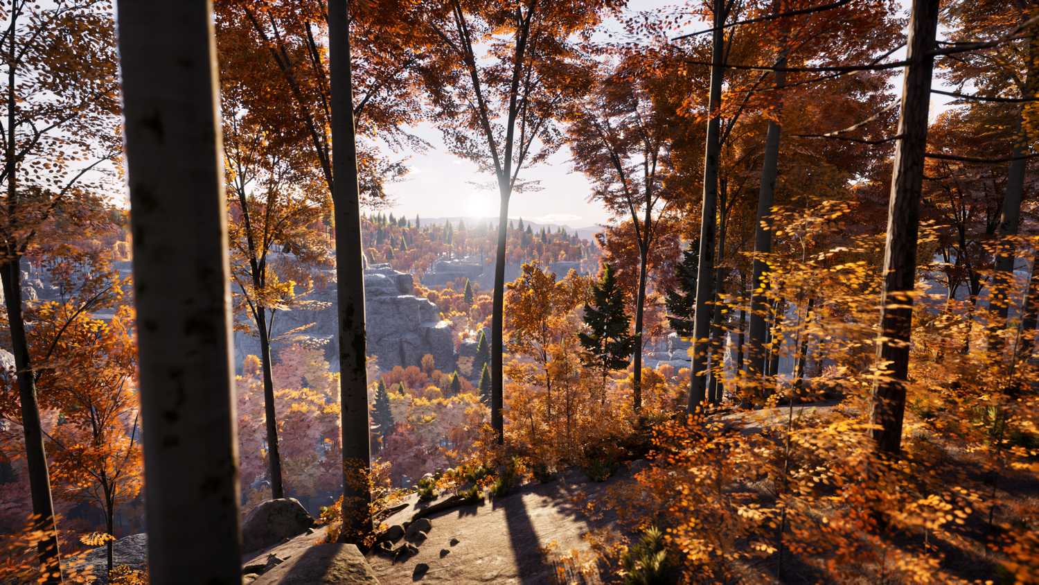 Walking down a hill in Prologue: Go Wayback