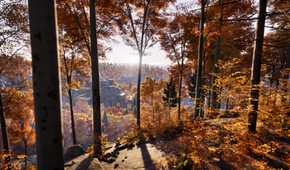 Walking down a hill in Prologue: Go Wayback