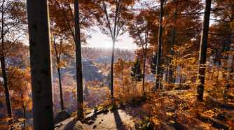 Walking down a hill in Prologue: Go Wayback
