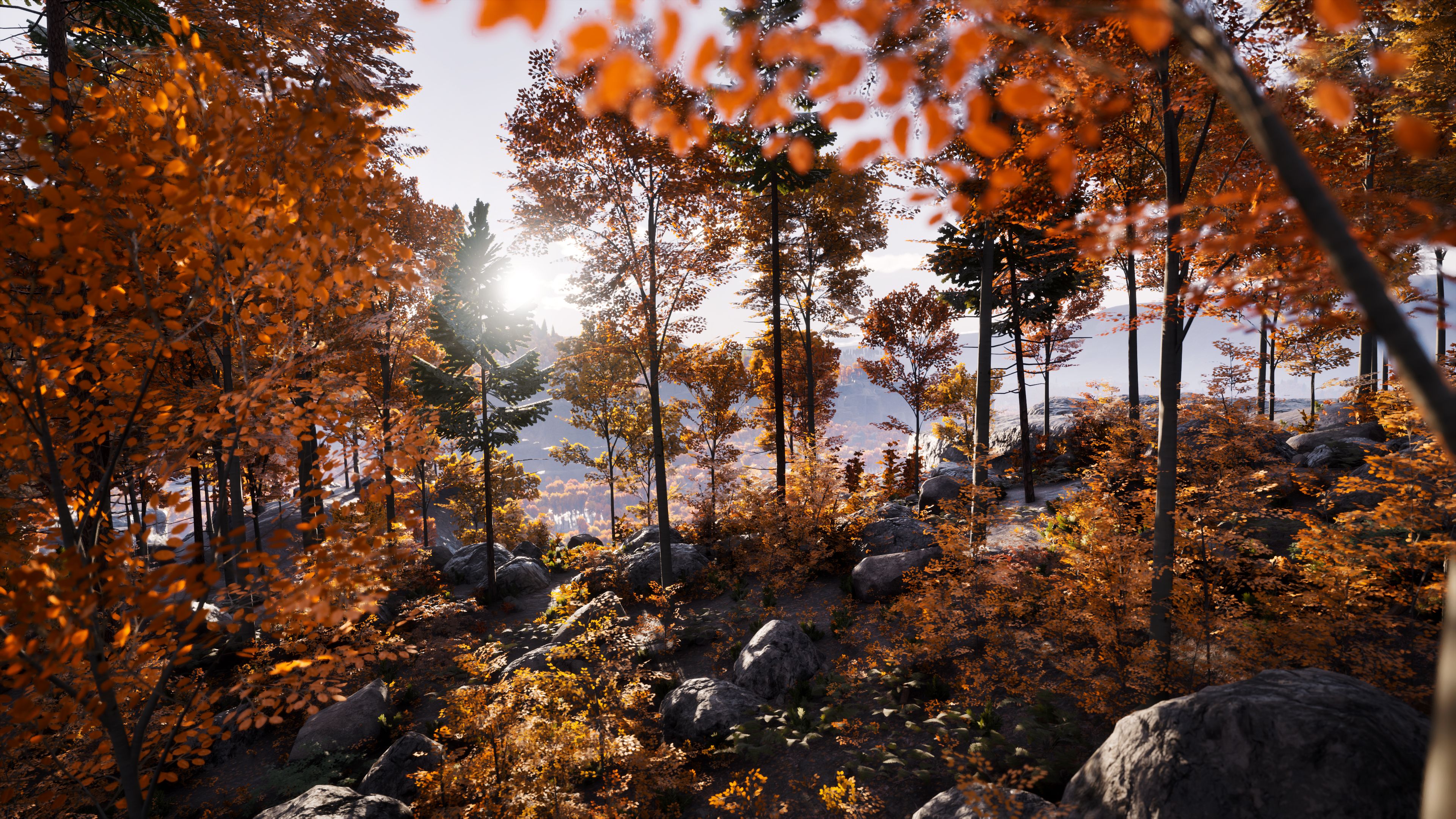 A forest of orange leaves in Prologue: Go Wayback