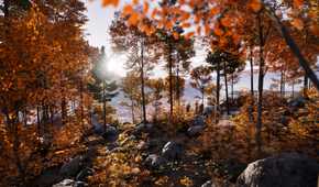 A forest of orange leaves in Prologue: Go Wayback
