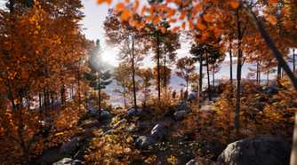 A forest of orange leaves in Prologue: Go Wayback