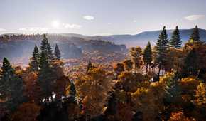 A large vista of the game world in Prologue: Go Wayback