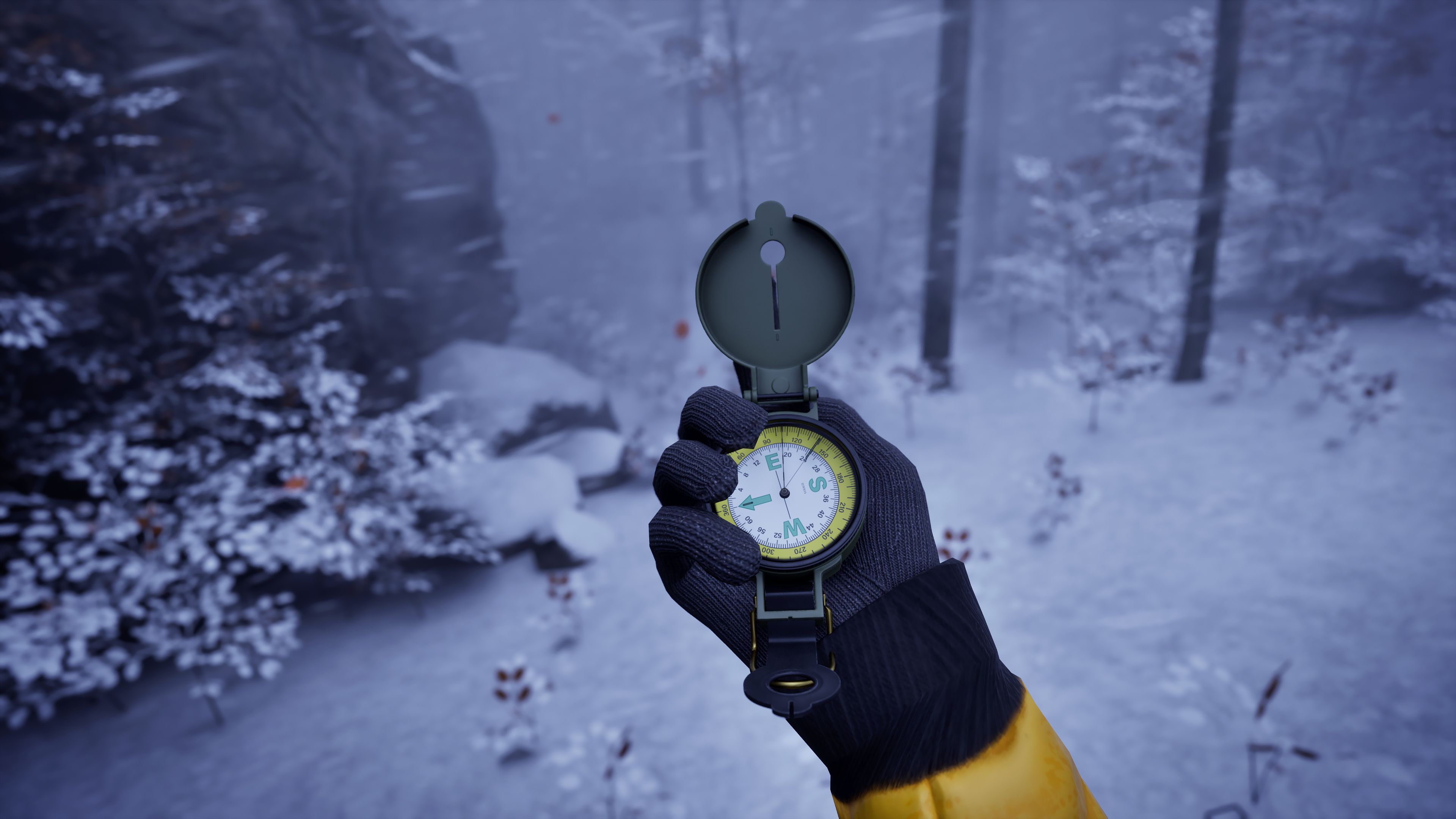 Using a compass in Prologue: Go Wayback!