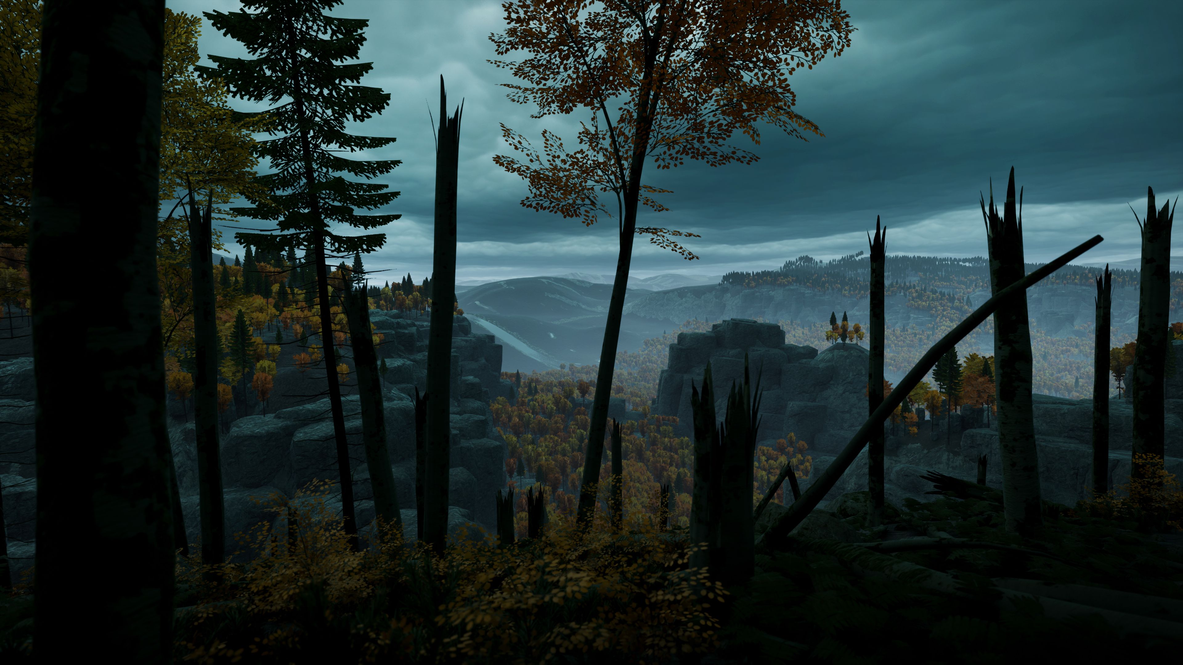 Walking through a dark forest in Prologue: Go Wayback!