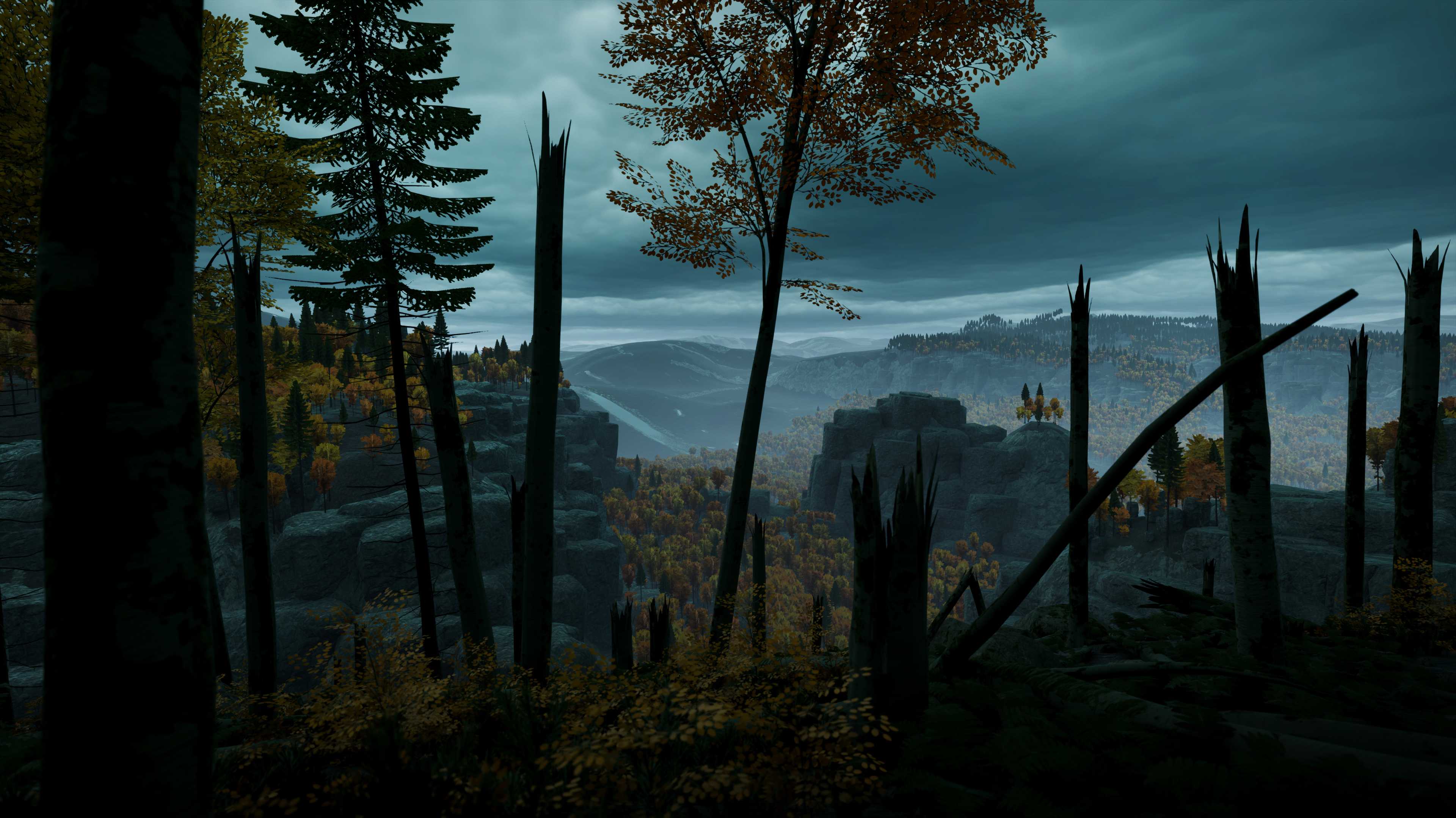 Walking through a dark forest in Prologue: Go Wayback!