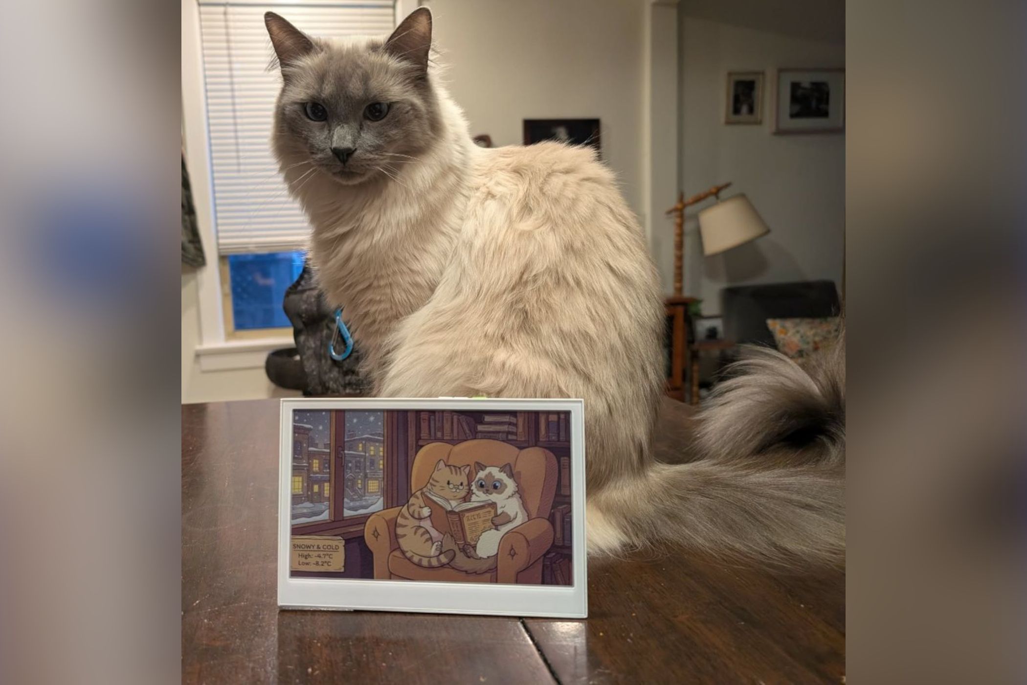 e-ink-weather-forecast