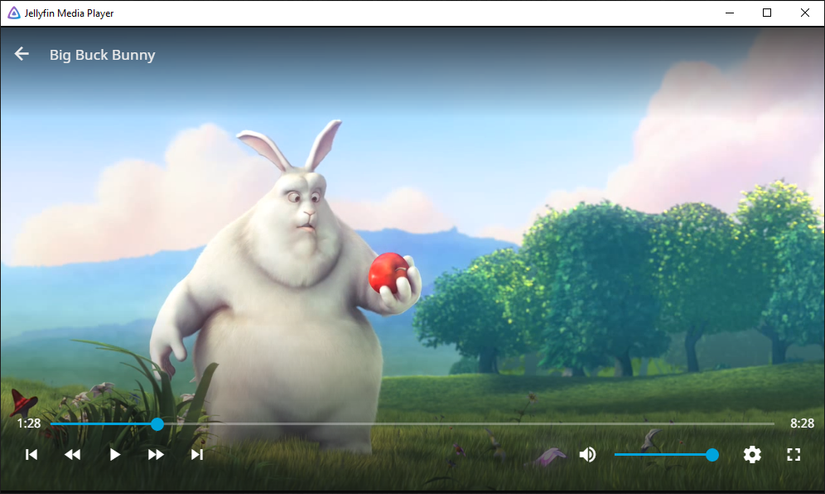 Jellyfin media player showing a movie