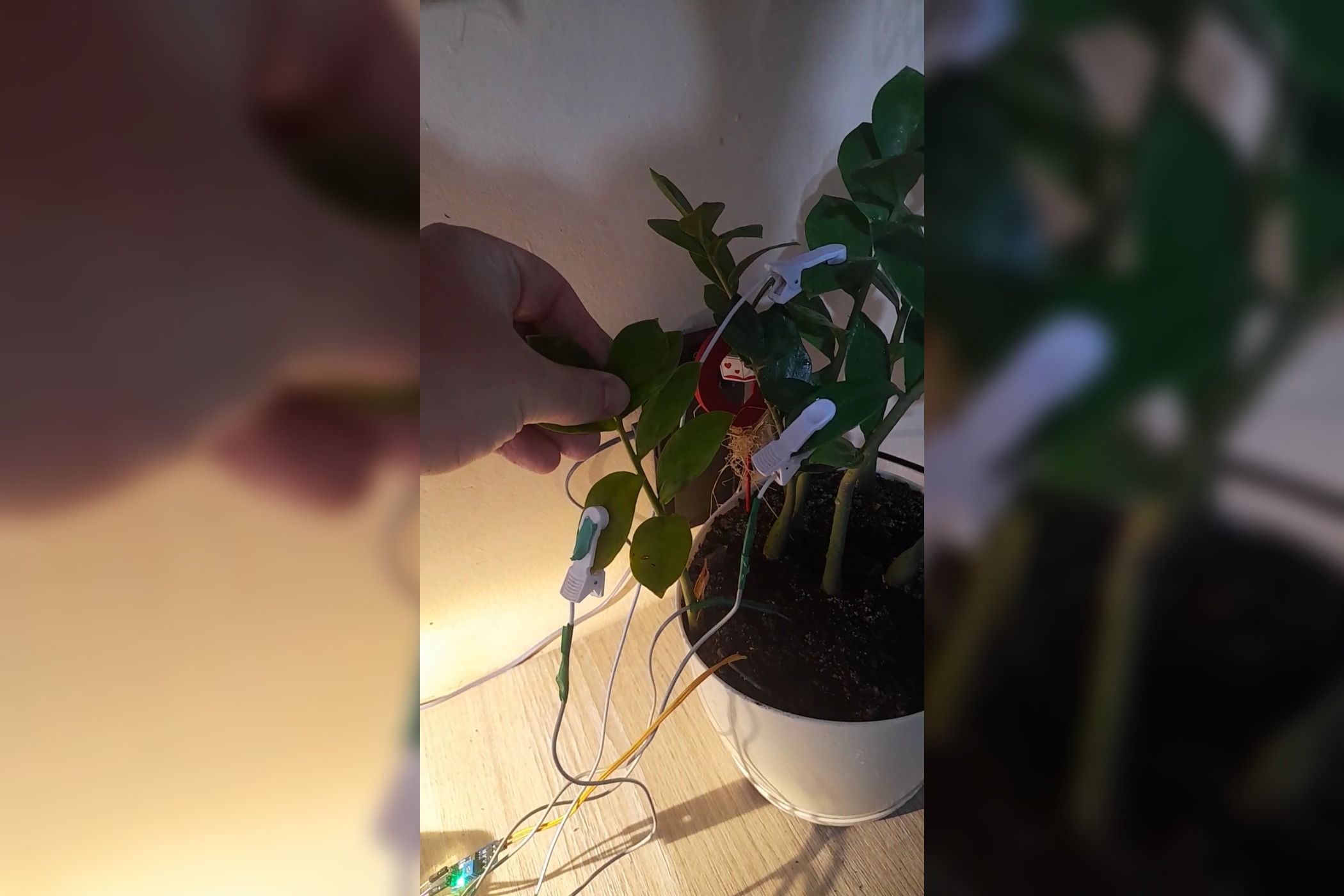 This awesome ESP32 project turns plant bioelectric signals into music
