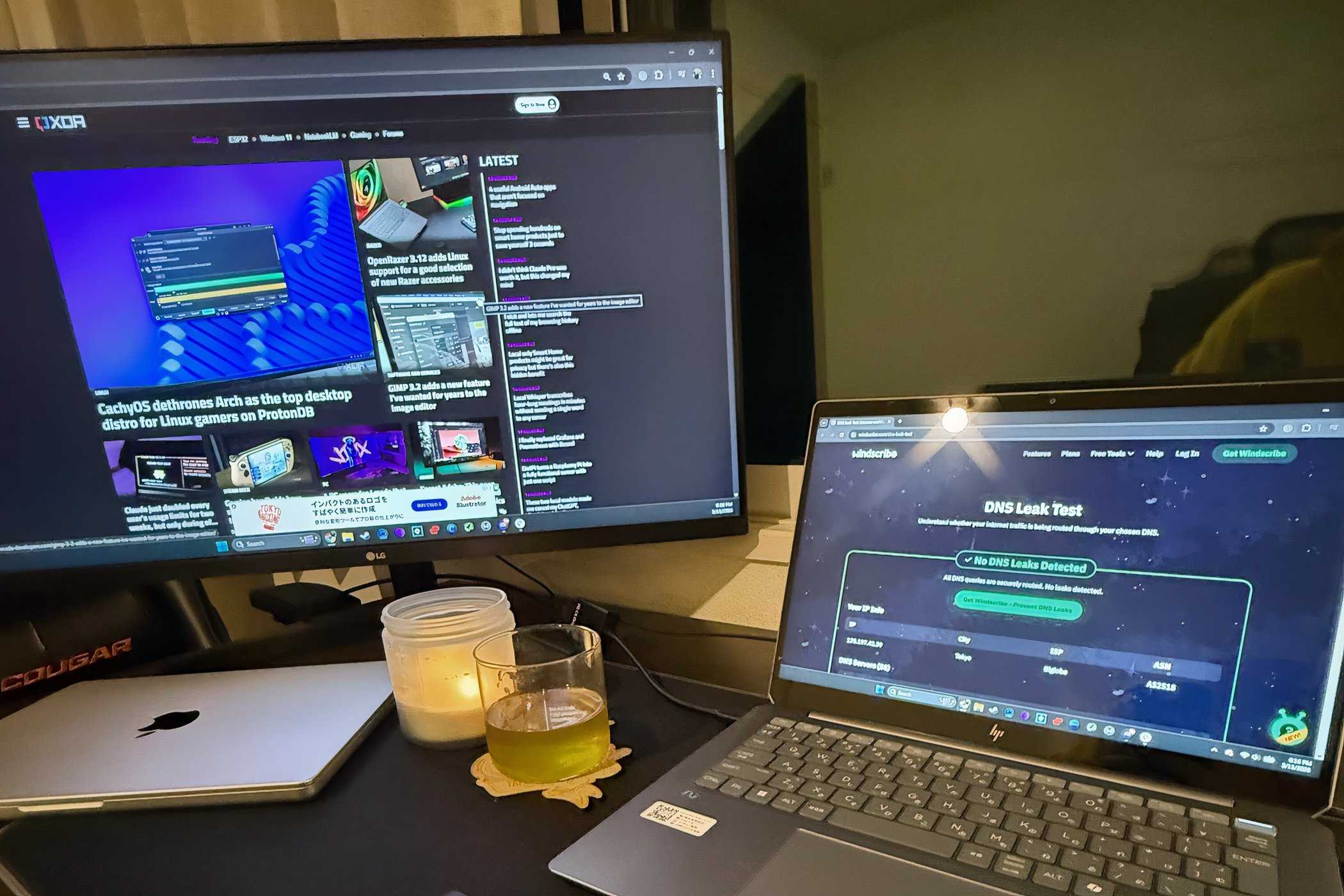 Windscribe DNS leak check