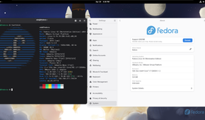 A screenshot in Fedora Linux showing the settings page and command terminal
