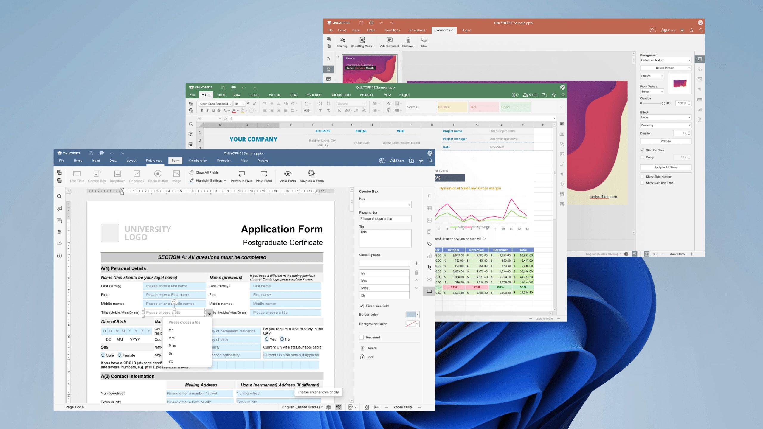 Various OnlyOffice Windows