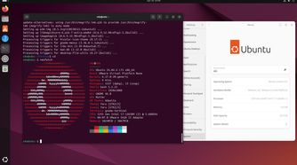 A screenshot in Ubuntu Linux showing Settings menu and Terminal