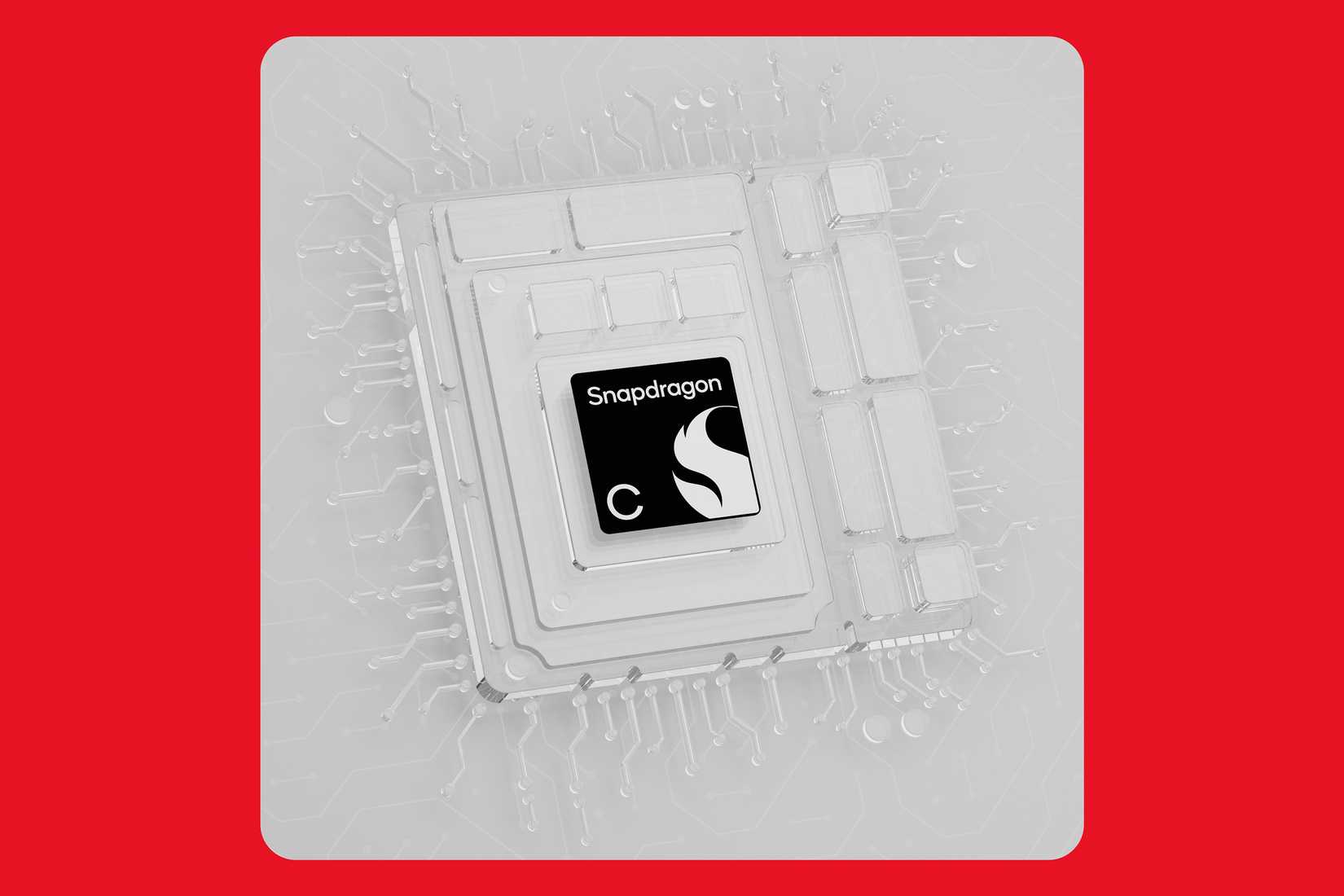 Snapdragon C 1