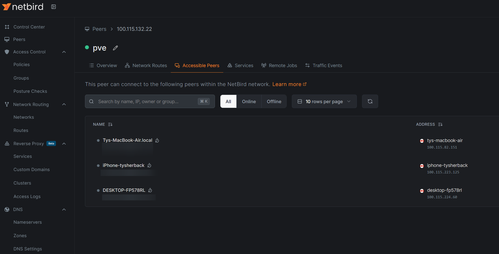 A menu showing active pairs in NetBird